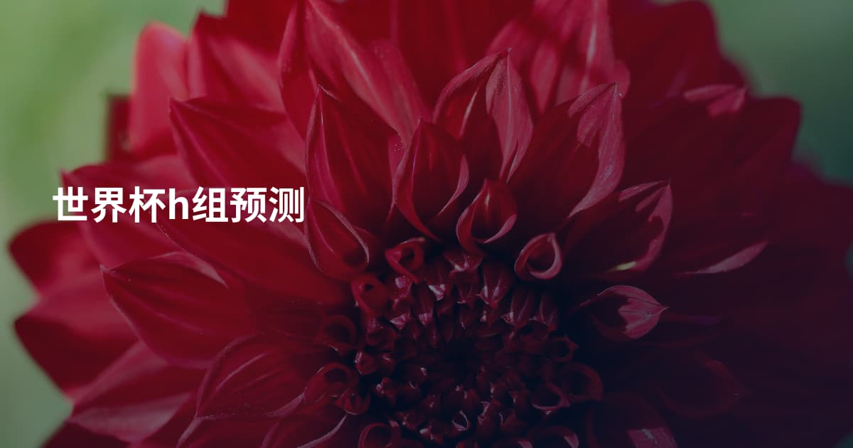 世界杯h组预测
