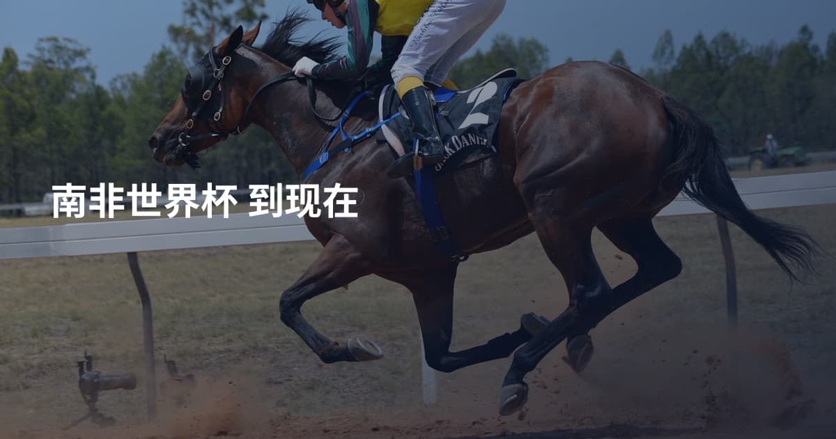 南非世界杯 到现在