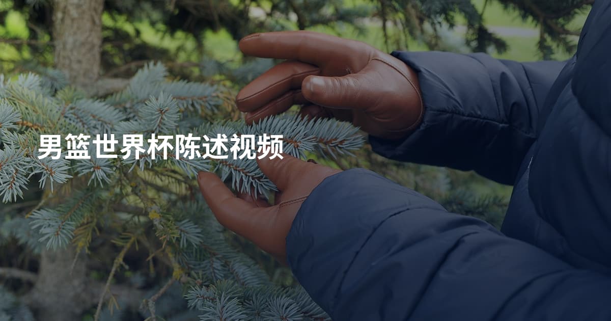 男篮世界杯陈述视频