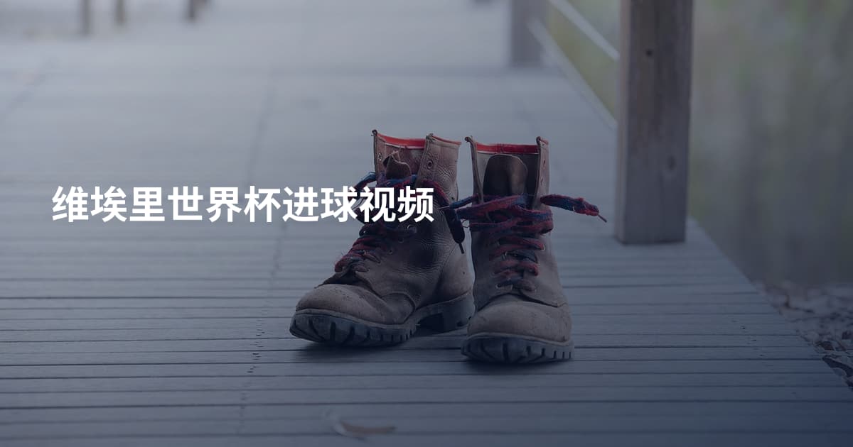 维埃里世界杯进球视频