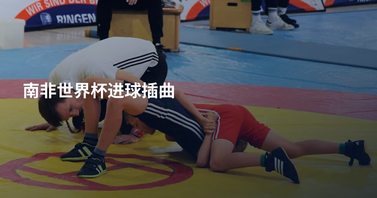 南非世界杯进球插曲