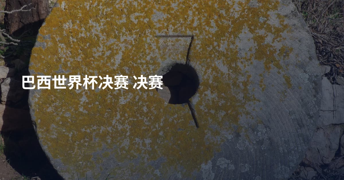 巴西世界杯决赛 决赛