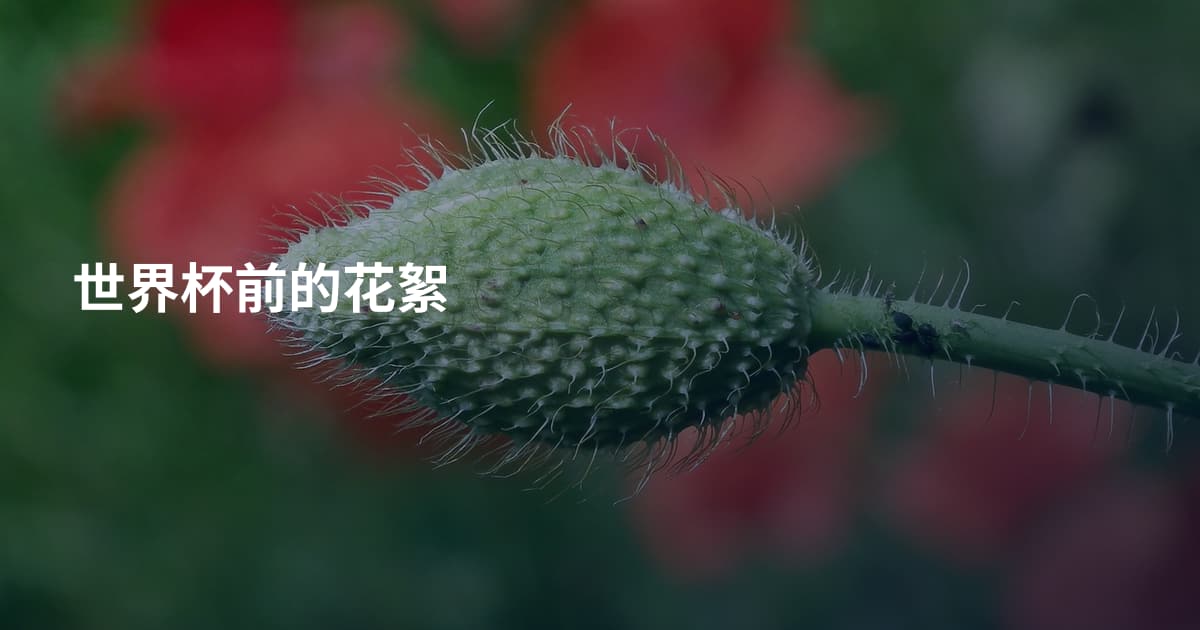 世界杯前的花絮