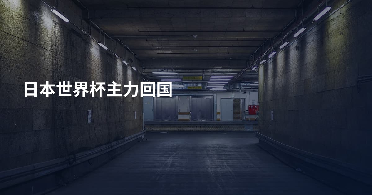 日本世界杯主力回国