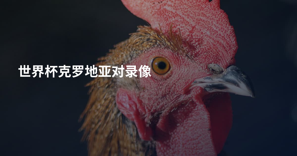 世界杯克罗地亚对录像