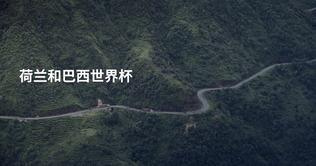 荷兰和巴西世界杯