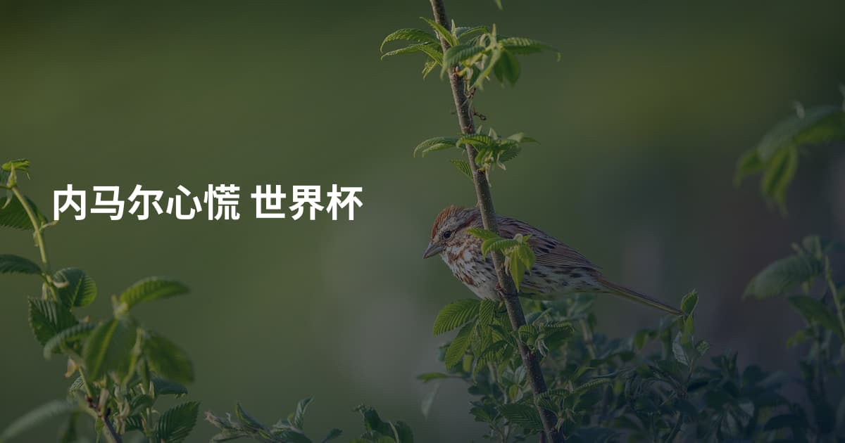 内马尔心慌 世界杯