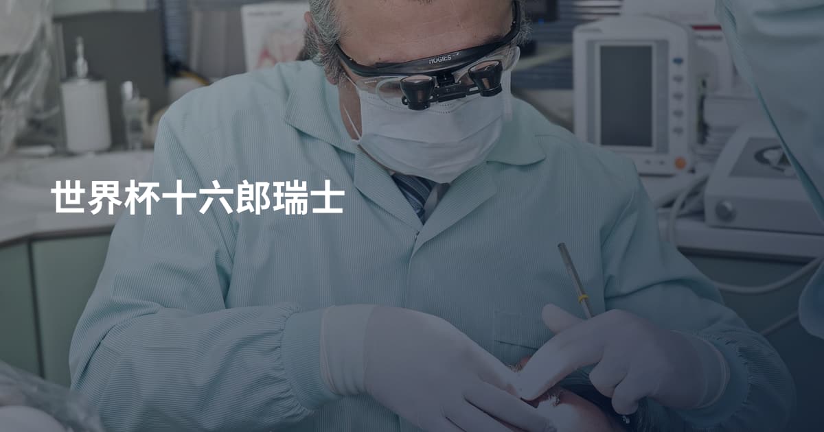 世界杯十六郎瑞士