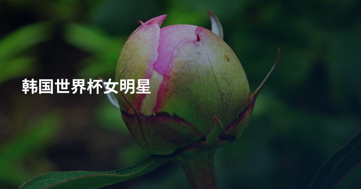 韩国世界杯女明星