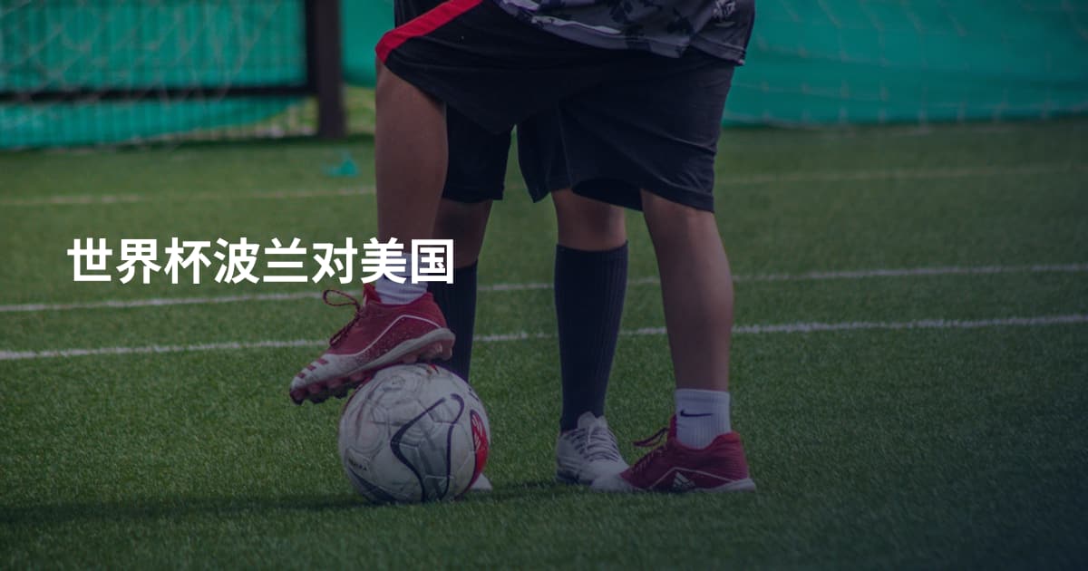 世界杯波兰对美国