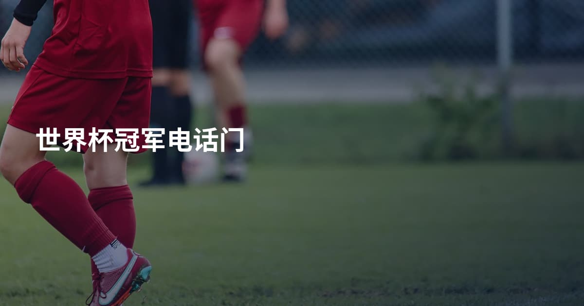 世界杯冠军电话门