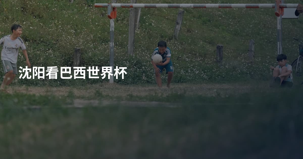 沈阳看巴西世界杯