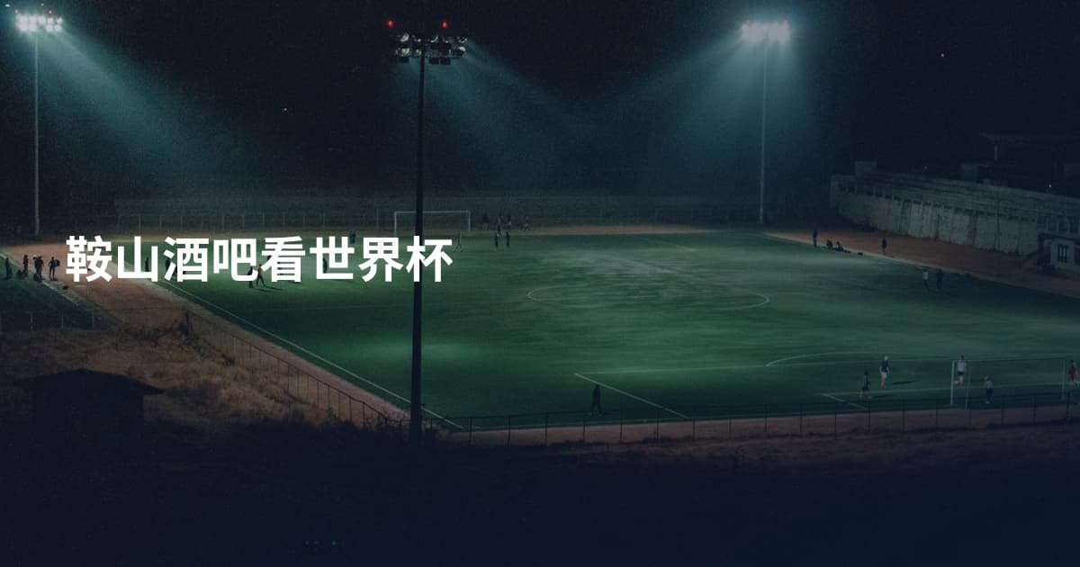 鞍山酒吧看世界杯