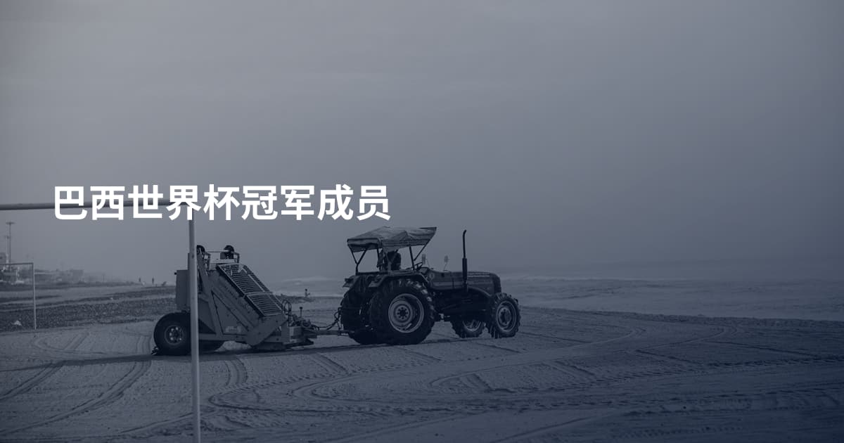 巴西世界杯冠军成员