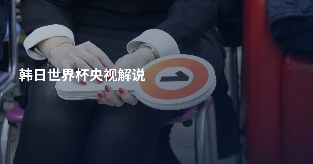 韩日世界杯央视解说