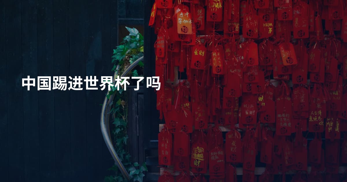 中国踢进世界杯了吗