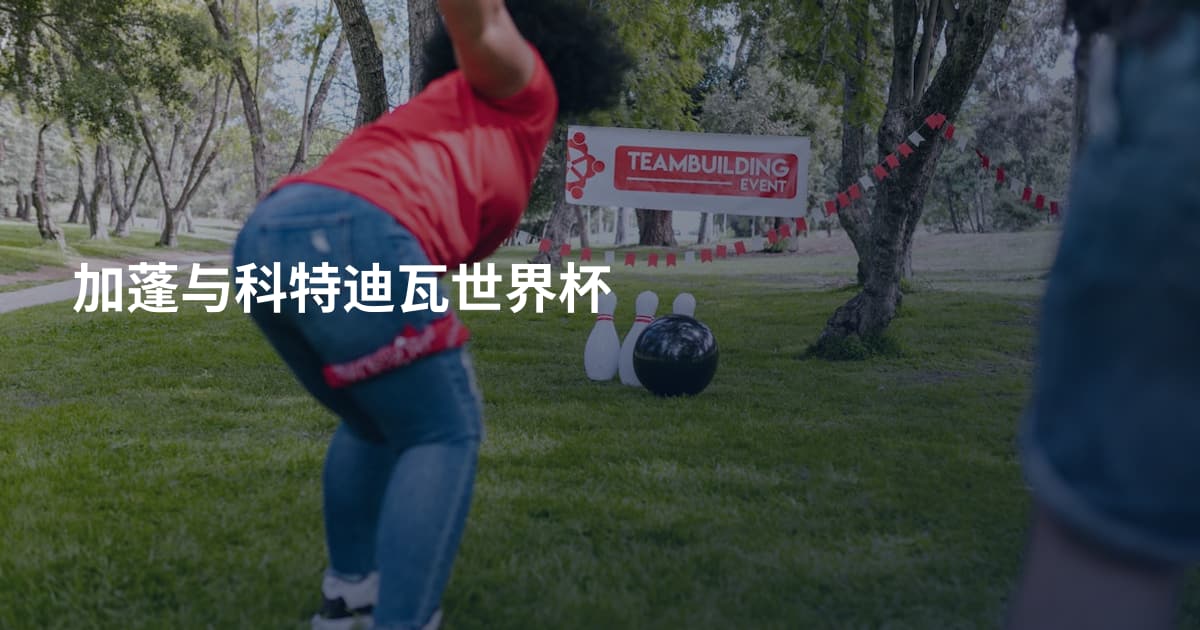 加蓬与科特迪瓦世界杯