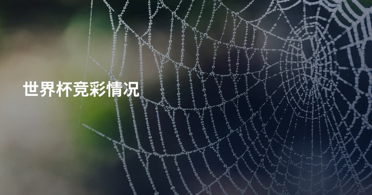 世界杯竞彩情况