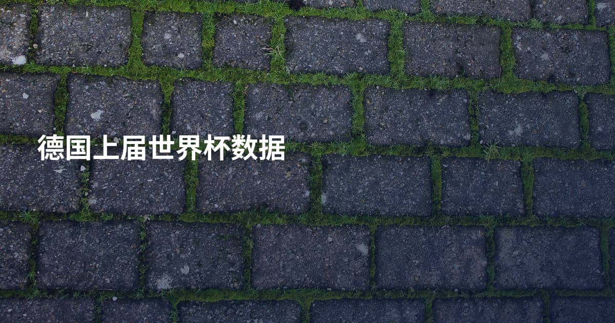 德国上届世界杯数据