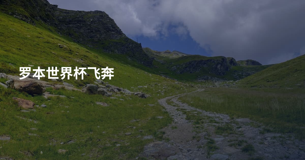 罗本世界杯飞奔