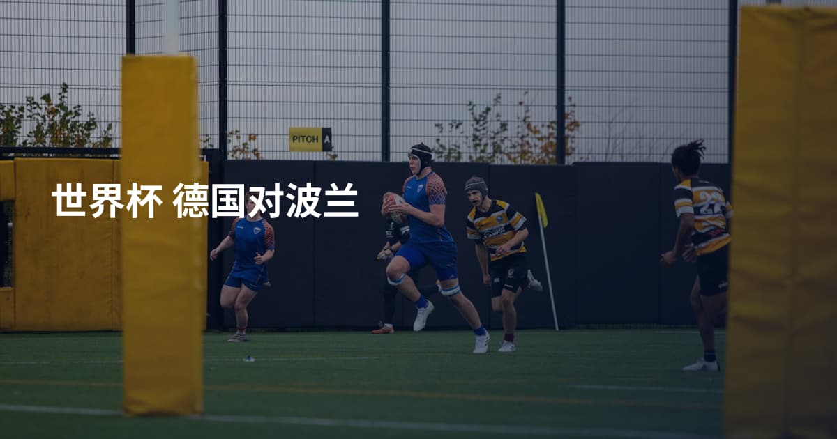 世界杯  德国对波兰