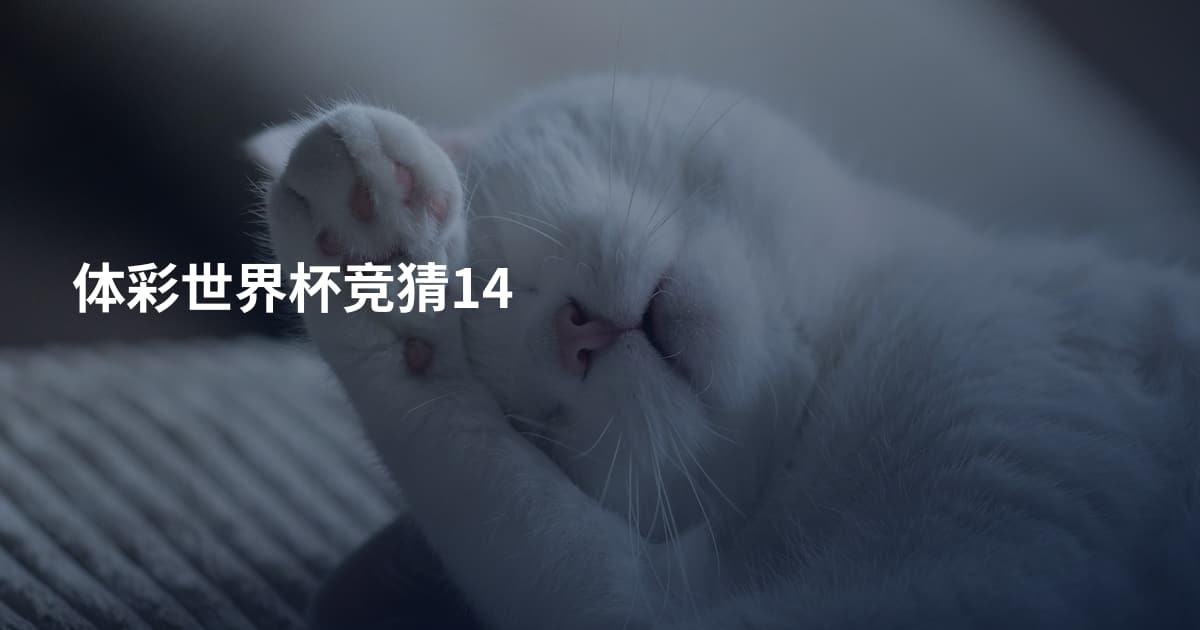 体彩世界杯竞猜14