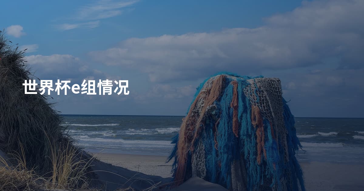 世界杯e组情况