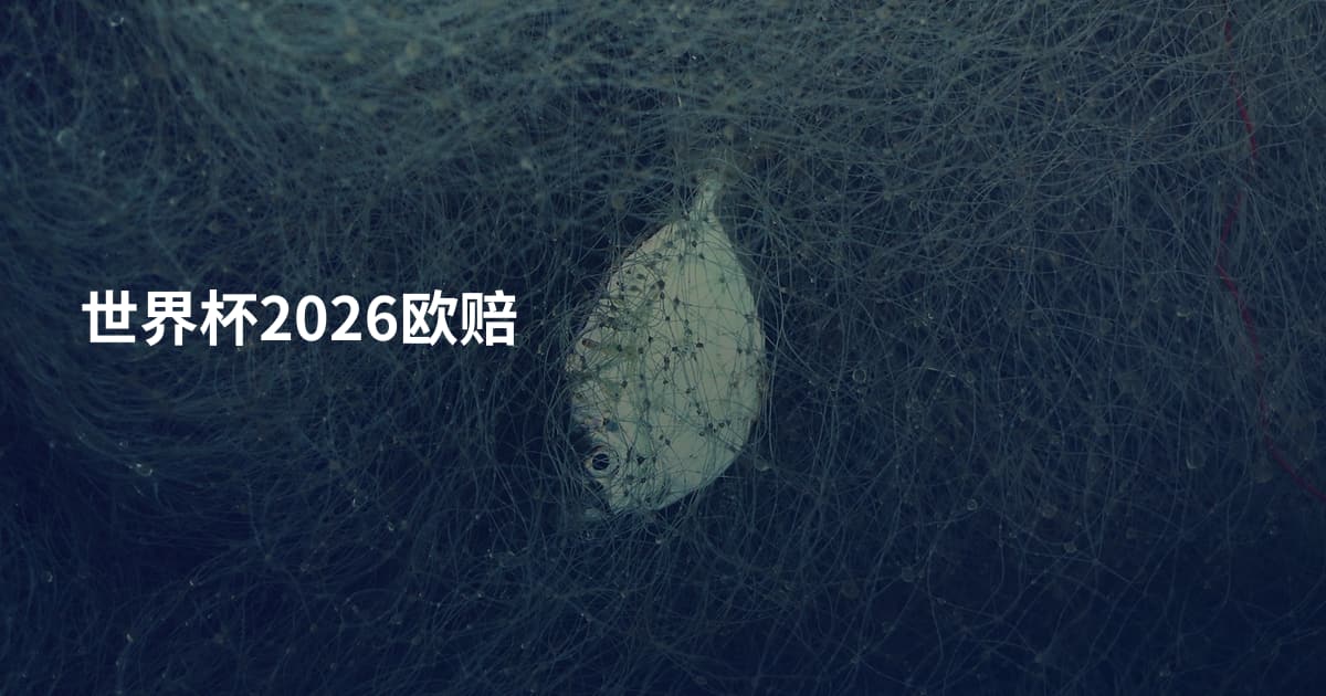 世界杯2026欧赔
