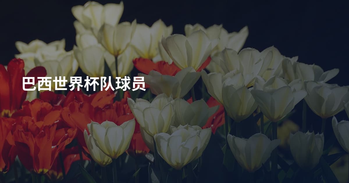 巴西世界杯队球员