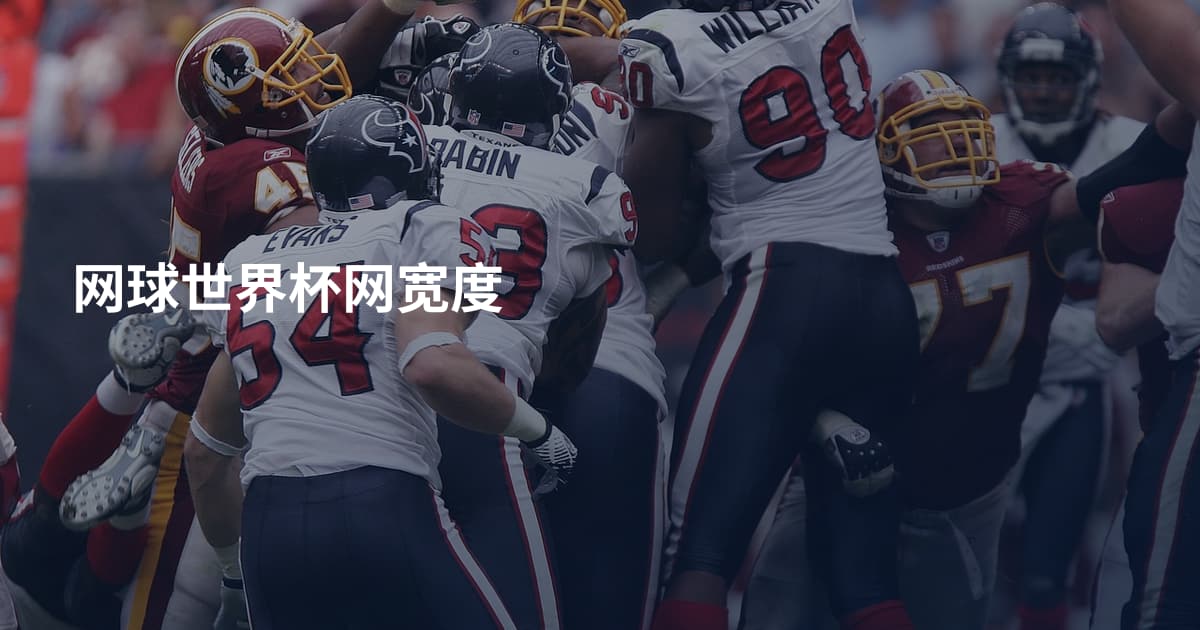 网球世界杯网宽度