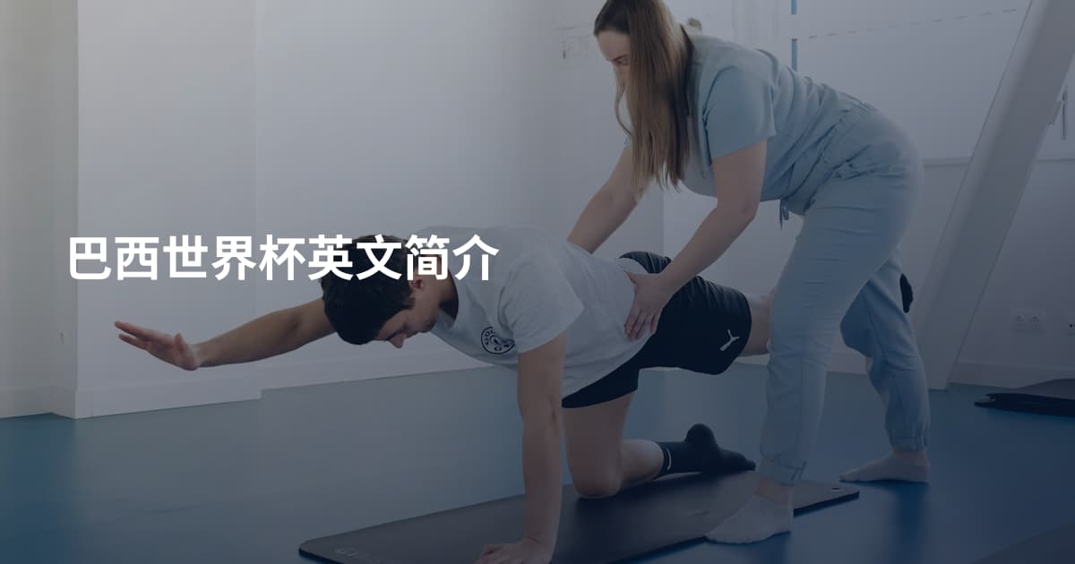 巴西世界杯英文简介