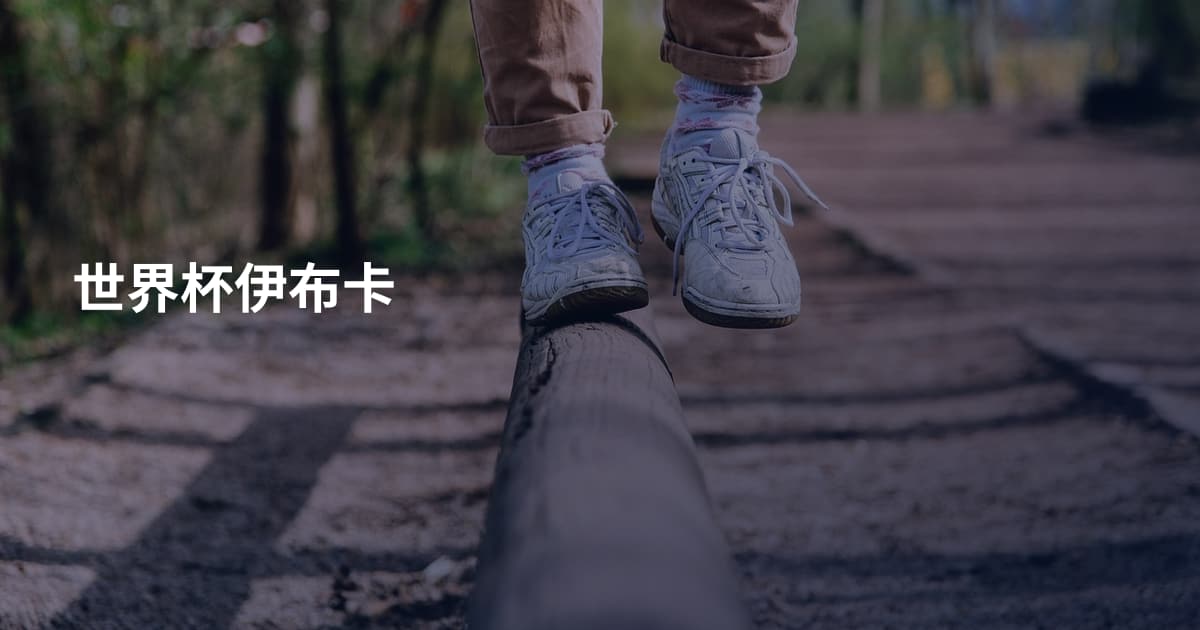 世界杯伊布卡