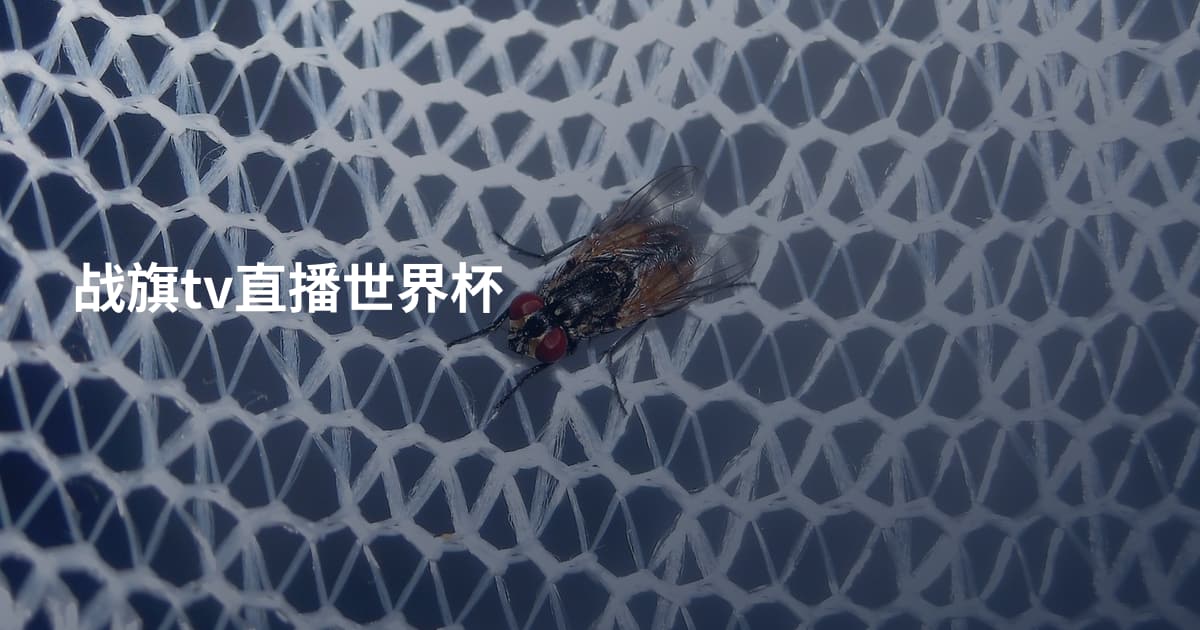战旗tv直播世界杯