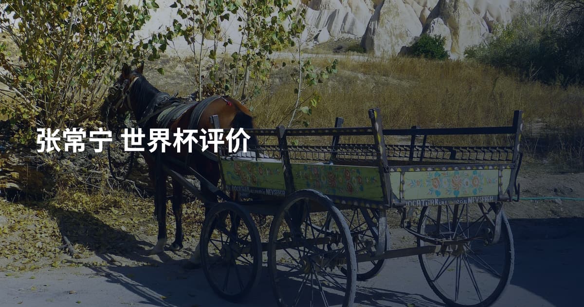 张常宁 世界杯评价