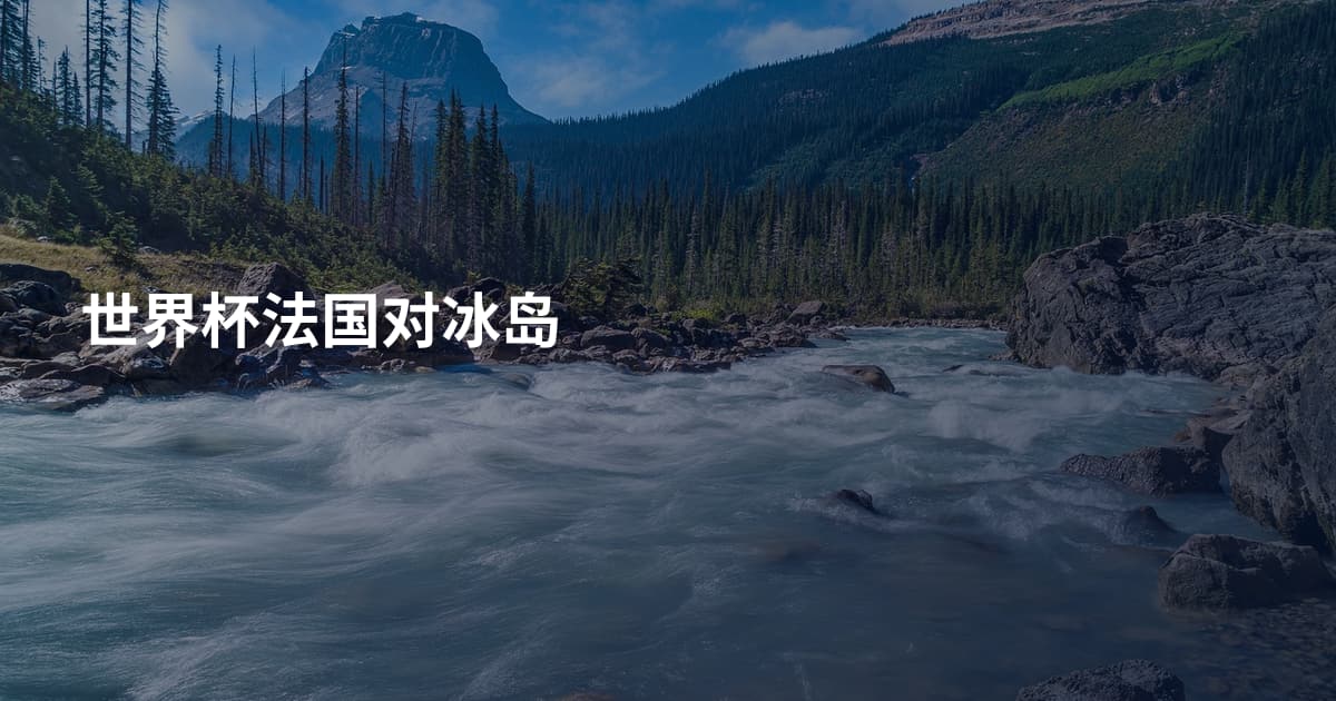 世界杯法国对冰岛