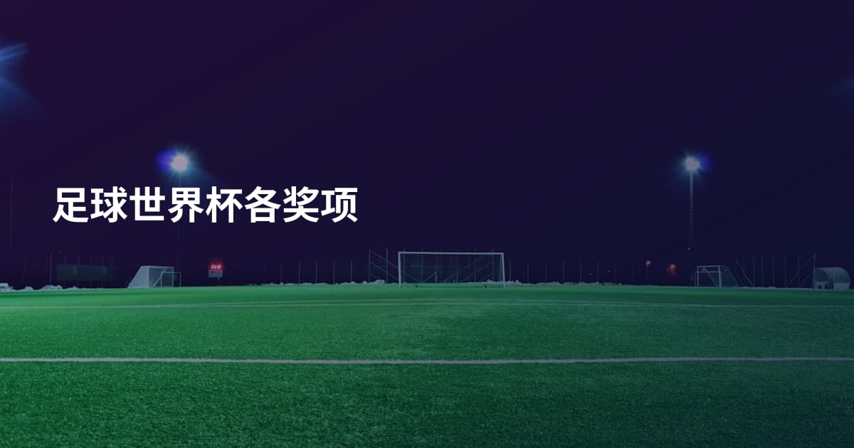 足球世界杯各奖项