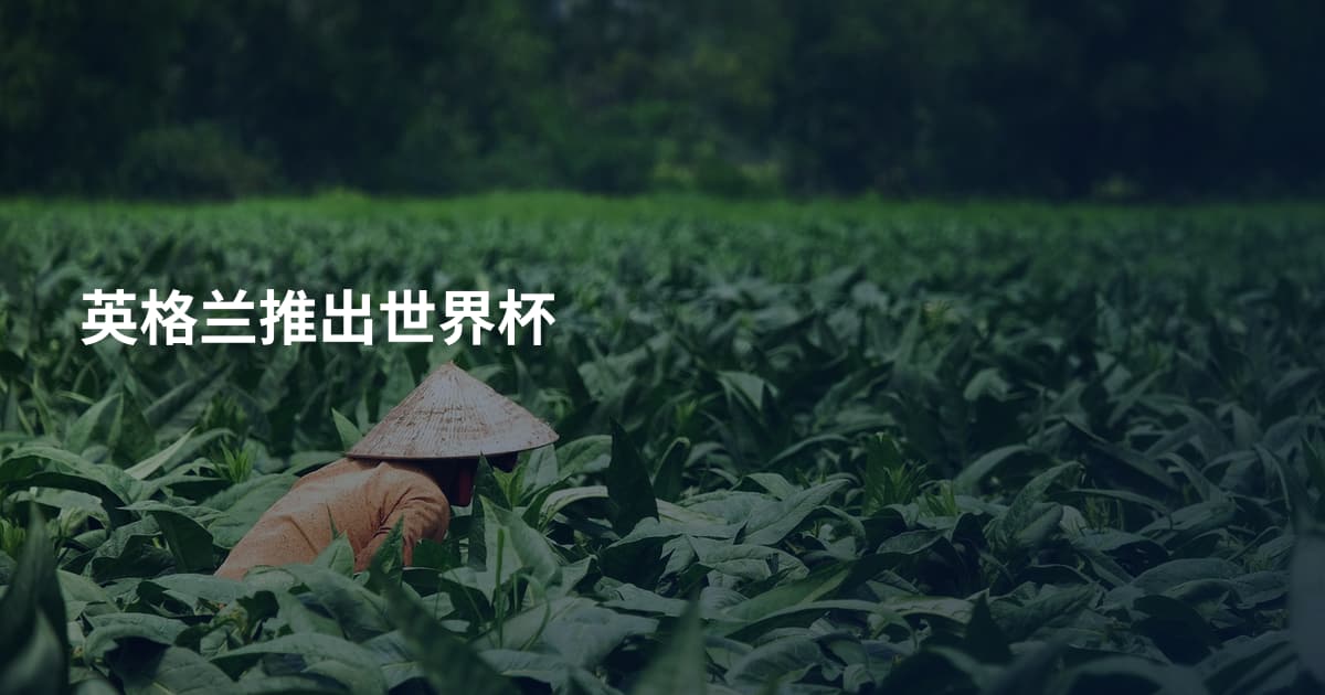 英格兰推出世界杯