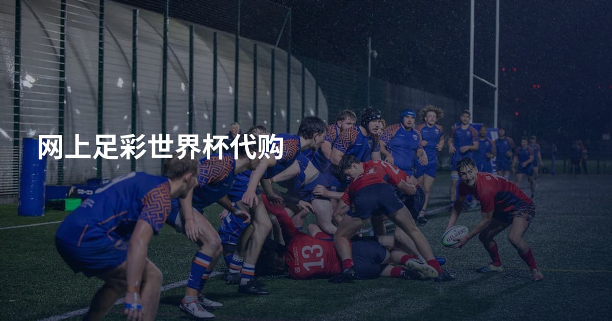 网上足彩世界杯代购