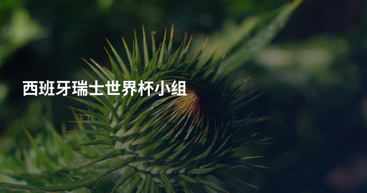西班牙瑞士世界杯小组
