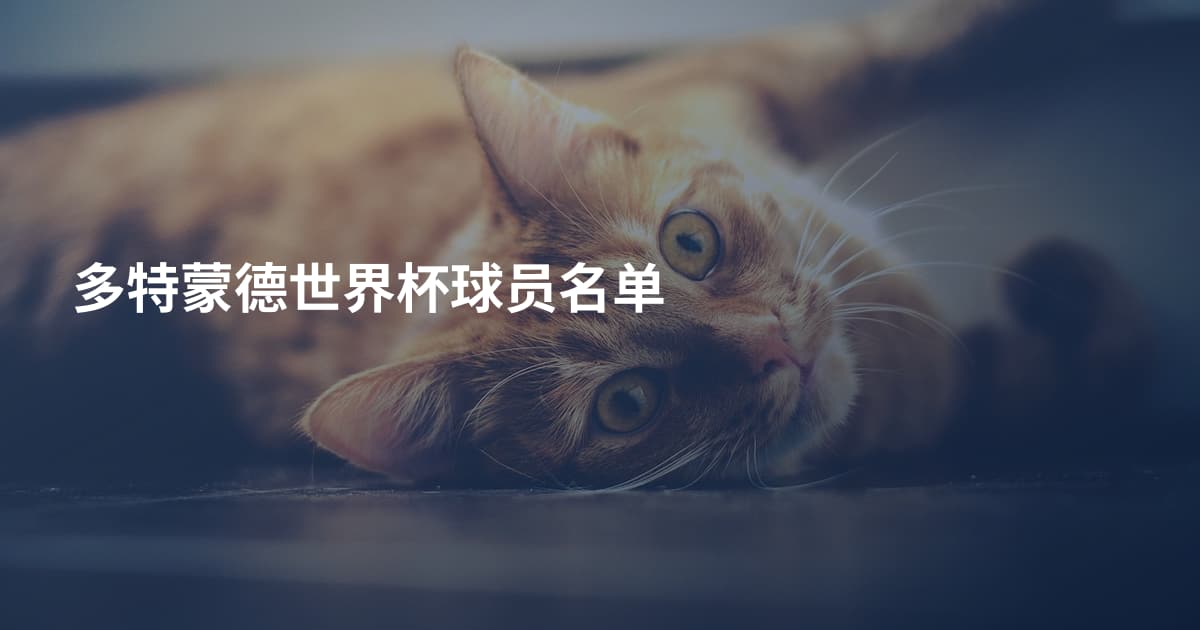 多特蒙德世界杯球员名单