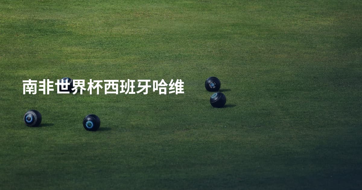 南非世界杯西班牙哈维