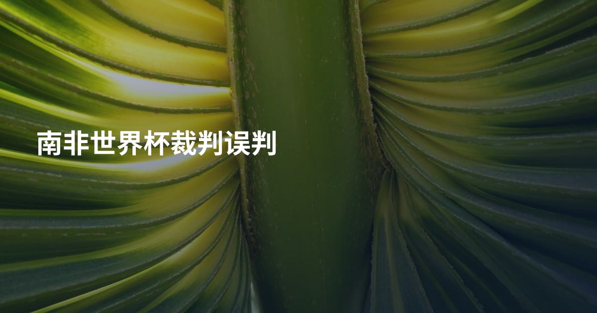 南非世界杯裁判误判