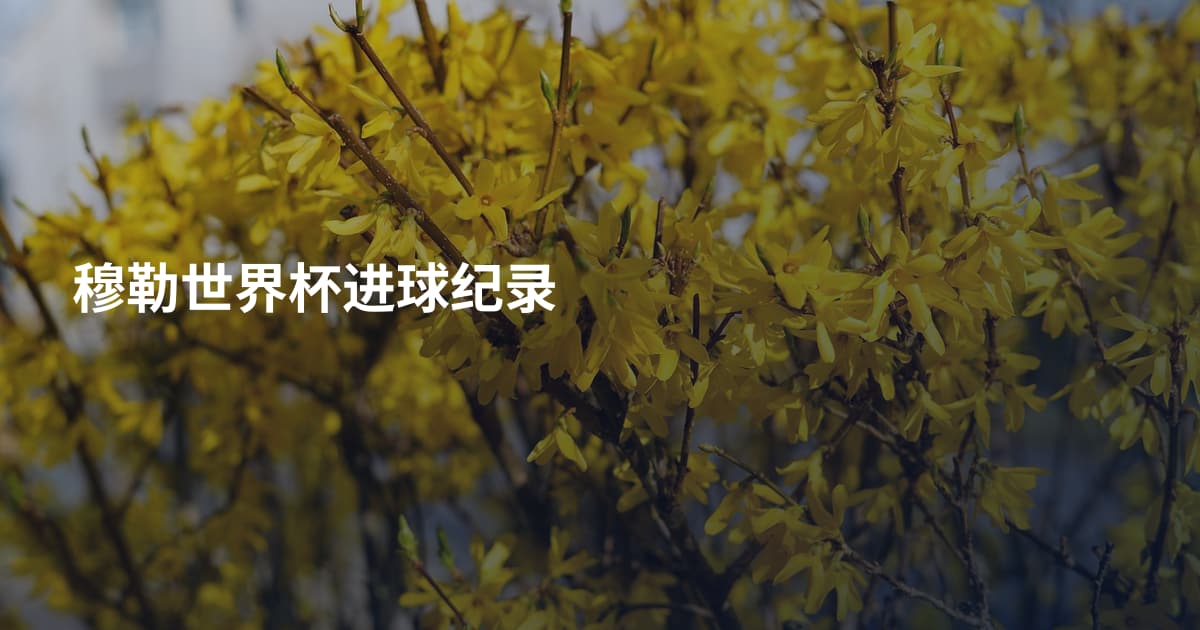 穆勒世界杯进球纪录