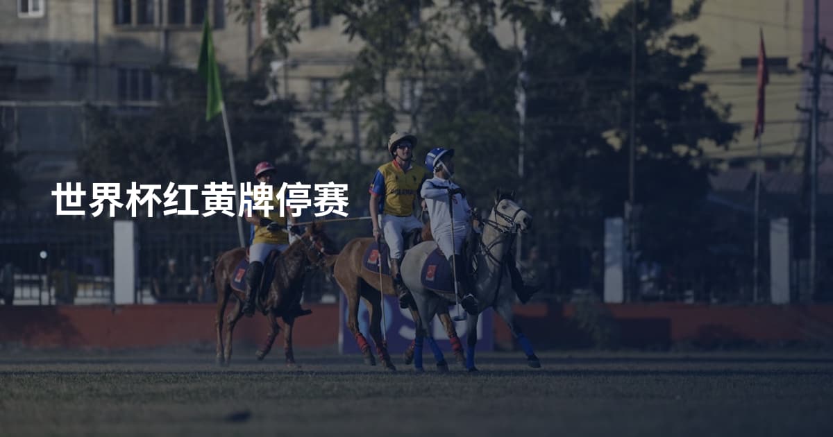 世界杯红黄牌停赛