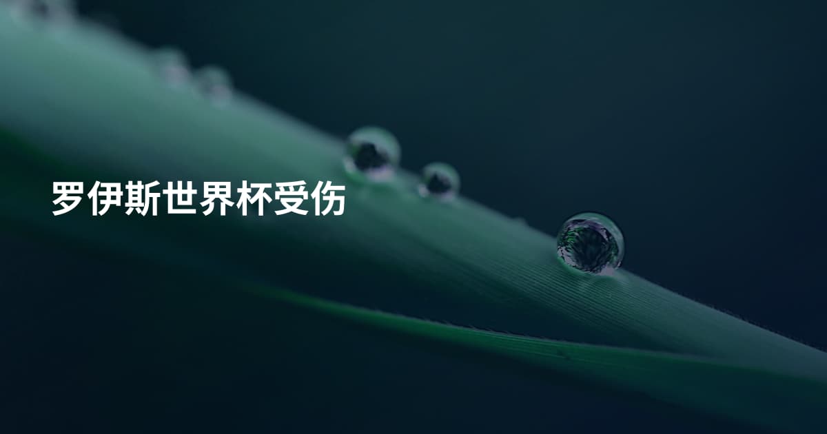 罗伊斯世界杯受伤