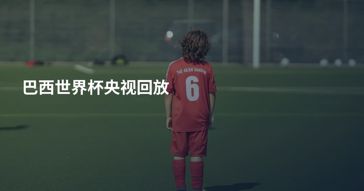 巴西世界杯央视回放