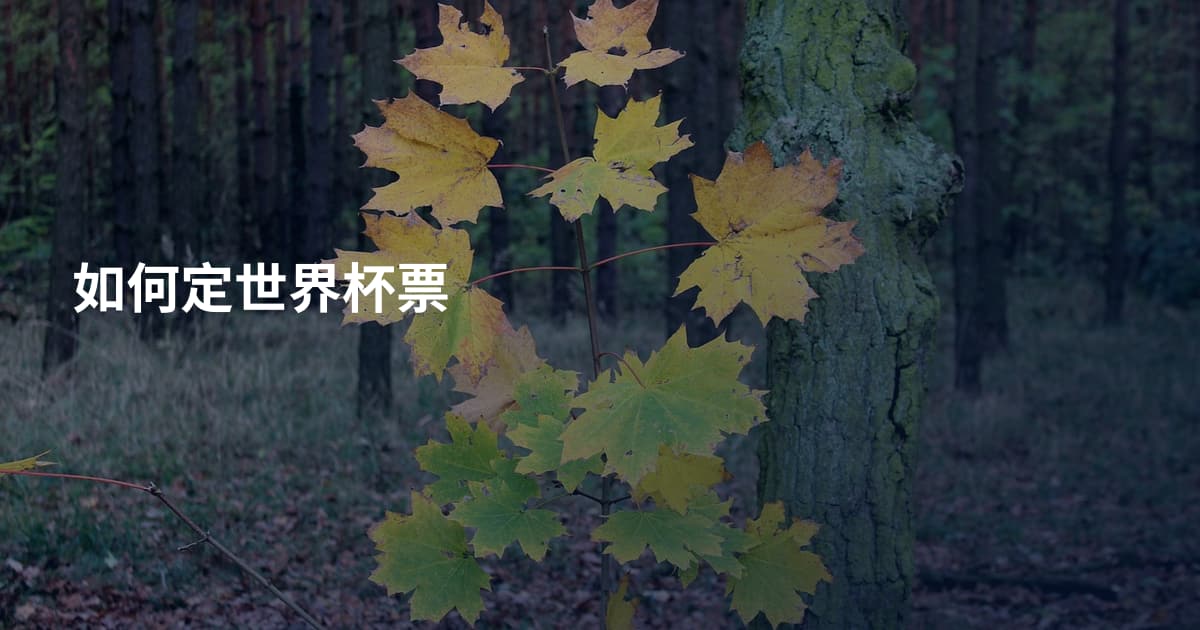 如何定世界杯票