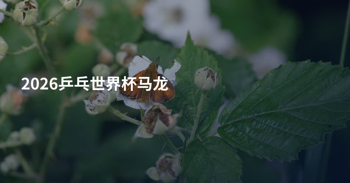 2026乒乓世界杯马龙