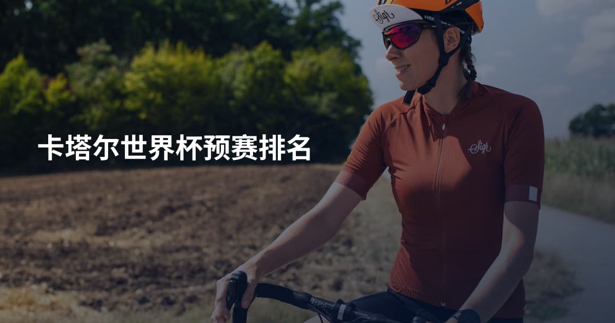 卡塔尔世界杯预赛排名