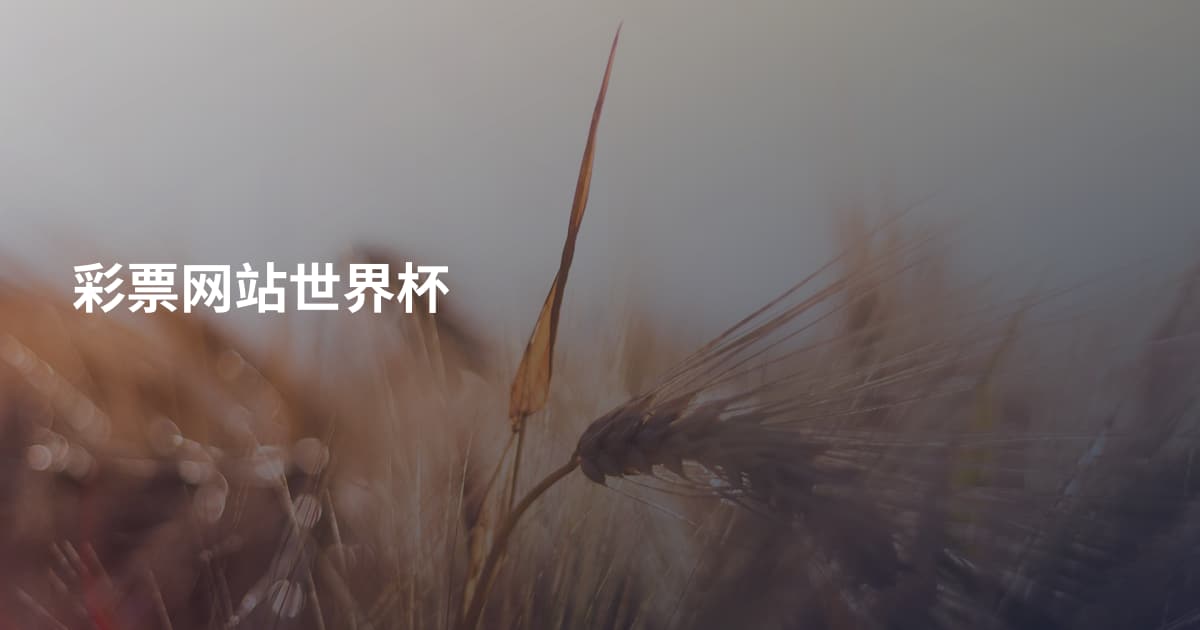 彩票网站世界杯